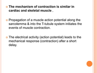  The mechanism of contraction is similar in
cardiac and skeletal muscle ,
 Propagation of a muscle action potential along the
sarcolemma & into the T-tubule system initiates the
events of muscle contraction.
 The electrical activity (action potential) leads to the
mechanical response (contraction) after a short
delay.
 