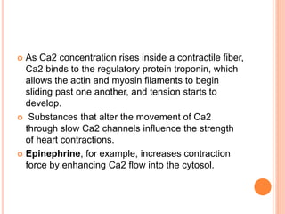  As Ca2 concentration rises inside a contractile fiber,
Ca2 binds to the regulatory protein troponin, which
allows the actin and myosin filaments to begin
sliding past one another, and tension starts to
develop.
 Substances that alter the movement of Ca2
through slow Ca2 channels influence the strength
of heart contractions.
 Epinephrine, for example, increases contraction
force by enhancing Ca2 flow into the cytosol.
 