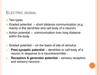 ELECTRIC SIGNAL
 Two types
 Graded potential :- short distance communication (e.g.
mainly in the dendrites and cell body of a neuron)
 Action potential :- communication over long distance
within the body
 Graded potential :- on the basis of site of stimulus
1. Post synaptic potential :- dendrites or cell body of a
neuron in response to a neurotransmitter .
2. Receptors & generator potential :- sensory receptors
and sensory neurons .
 