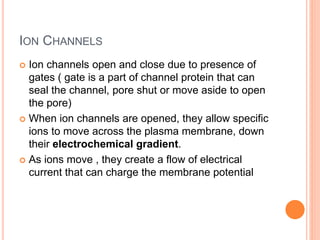 ION CHANNELS
 Ion channels open and close due to presence of
gates ( gate is a part of channel protein that can
seal the channel, pore shut or move aside to open
the pore)
 When ion channels are opened, they allow specific
ions to move across the plasma membrane, down
their electrochemical gradient.
 As ions move , they create a flow of electrical
current that can charge the membrane potential
 