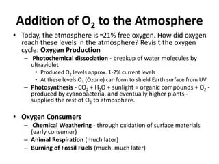 Addition of O2 to the Atmosphere
• Today, the atmosphere is ~21% free oxygen. How did oxygen
reach these levels in the atmosphere? Revisit the oxygen
cycle: Oxygen Production
– Photochemical dissociation - breakup of water molecules by
ultraviolet
• Produced O2 levels approx. 1-2% current levels
• At these levels O3 (Ozone) can form to shield Earth surface from UV
– Photosynthesis - CO2 + H2O + sunlight = organic compounds + O2 -
produced by cyanobacteria, and eventually higher plants -
supplied the rest of O2 to atmosphere.
• Oxygen Consumers
– Chemical Weathering - through oxidation of surface materials
(early consumer)
– Animal Respiration (much later)
– Burning of Fossil Fuels (much, much later)
 