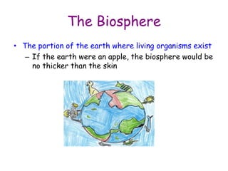 The Biosphere
• The portion of the earth where living organisms exist
– If the earth were an apple, the biosphere would be
no thicker than the skin
 
