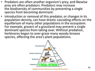 • Predators are often another organism's prey, and likewise
prey are often predators. Predators may increase
the biodiversity of communities by preventing a single
species from becoming dominant.
• Introduction or removal of this predator, or changes in its
population density, can have drastic cascading effects on the
equilibrium of many other populations in the ecosystem.
For example, grazers of a grassland may prevent a single
dominant species from taking over. Without predation,
herbivores began to over-graze many woody browse
species, affecting the area's plant populations.
42
 