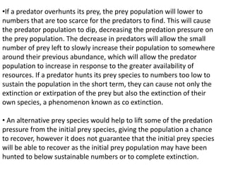 •If a predator overhunts its prey, the prey population will lower to
numbers that are too scarce for the predators to find. This will cause
the predator population to dip, decreasing the predation pressure on
the prey population. The decrease in predators will allow the small
number of prey left to slowly increase their population to somewhere
around their previous abundance, which will allow the predator
population to increase in response to the greater availability of
resources. If a predator hunts its prey species to numbers too low to
sustain the population in the short term, they can cause not only the
extinction or extirpation of the prey but also the extinction of their
own species, a phenomenon known as co extinction.
• An alternative prey species would help to lift some of the predation
pressure from the initial prey species, giving the population a chance
to recover, however it does not guarantee that the initial prey species
will be able to recover as the initial prey population may have been
hunted to below sustainable numbers or to complete extinction.
 