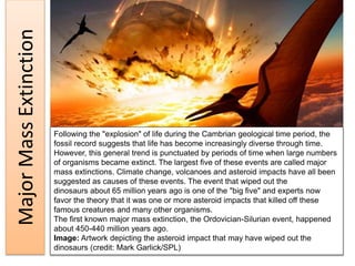 MajorMassExtinction
Following the "explosion" of life during the Cambrian geological time period, the
fossil record suggests that life has become increasingly diverse through time.
However, this general trend is punctuated by periods of time when large numbers
of organisms became extinct. The largest five of these events are called major
mass extinctions. Climate change, volcanoes and asteroid impacts have all been
suggested as causes of these events. The event that wiped out the
dinosaurs about 65 million years ago is one of the "big five" and experts now
favor the theory that it was one or more asteroid impacts that killed off these
famous creatures and many other organisms.
The first known major mass extinction, the Ordovician-Silurian event, happened
about 450-440 million years ago.
Image: Artwork depicting the asteroid impact that may have wiped out the
dinosaurs (credit: Mark Garlick/SPL)
 