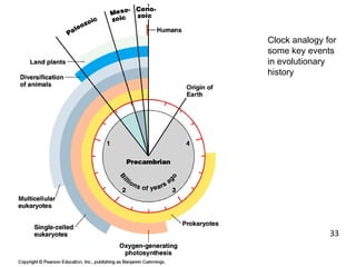 Clock analogy for
some key events
in evolutionary
history
33
 
