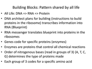 Building Blocks: Pattern shared by all life
• All Life: DNA => RNA => Protein
• DNA architect plans for building (instructions to build
proteins in the ribosome) transcribes information into
RNA (Blueprint)
• RNA messenger translates blueprint into proteins in the
ribosomes
• Genes code for specific proteins (enzymes)
• Enzymes are proteins that control all chemical reactions
• Order of nitrogenous bases (read in groups of 3) {A, T, C,
G} determines the type of proteins made
• Each group of 3 codes for a specific amino acid
 