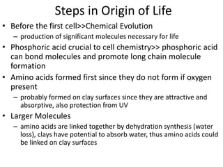 Steps in Origin of Life
• Before the first cell>>Chemical Evolution
– production of significant molecules necessary for life
• Phosphoric acid crucial to cell chemistry>> phosphoric acid
can bond molecules and promote long chain molecule
formation
• Amino acids formed first since they do not form if oxygen
present
– probably formed on clay surfaces since they are attractive and
absorptive, also protection from UV
• Larger Molecules
– amino acids are linked together by dehydration synthesis (water
loss), clays have potential to absorb water, thus amino acids could
be linked on clay surfaces
 