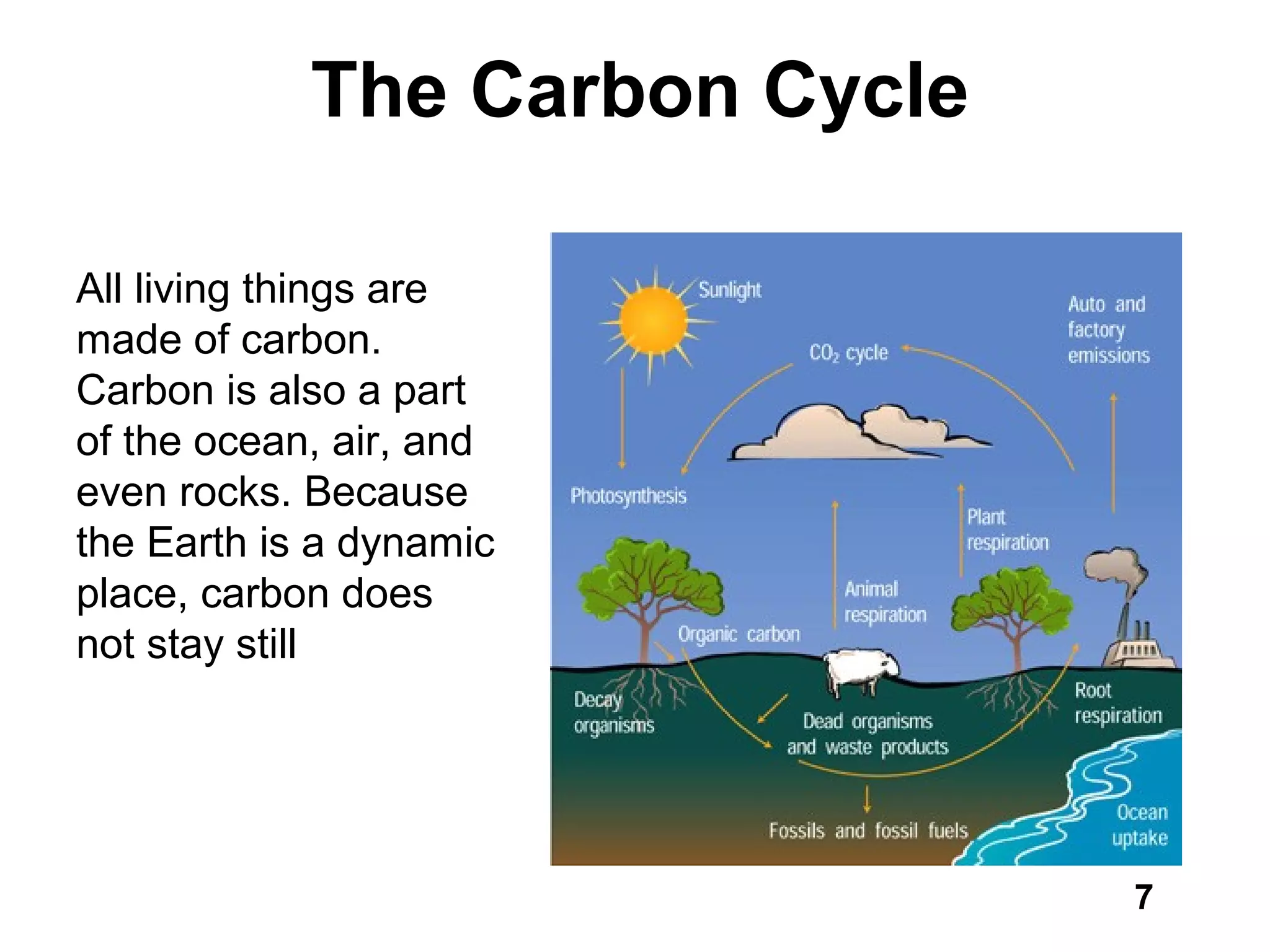The Carbon Cycle
All living things are
made of carbon.
Carbon is also a part
of the ocean, air, and
even rocks. Because
the Earth is a dynamic
place, carbon does
not stay still
7
 