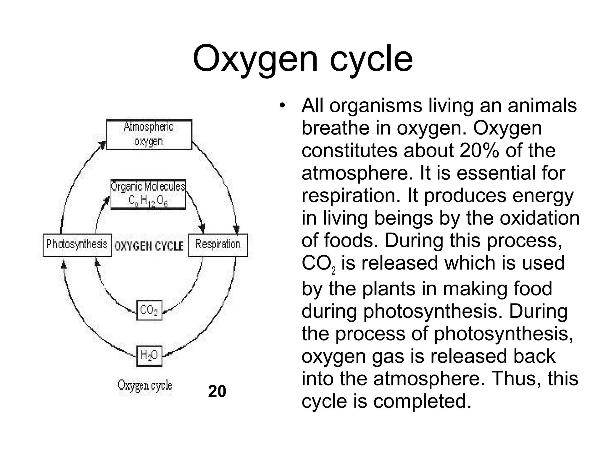 Oxygen cycle
• All organisms living an animals
breathe in oxygen. Oxygen
constitutes about 20% of the
atmosphere. It is essential for
respiration. It produces energy
in living beings by the oxidation
of foods. During this process,
CO2 is released which is used
by the plants in making food
during photosynthesis. During
the process of photosynthesis,
oxygen gas is released back
into the atmosphere. Thus, this
cycle is completed.
20
 