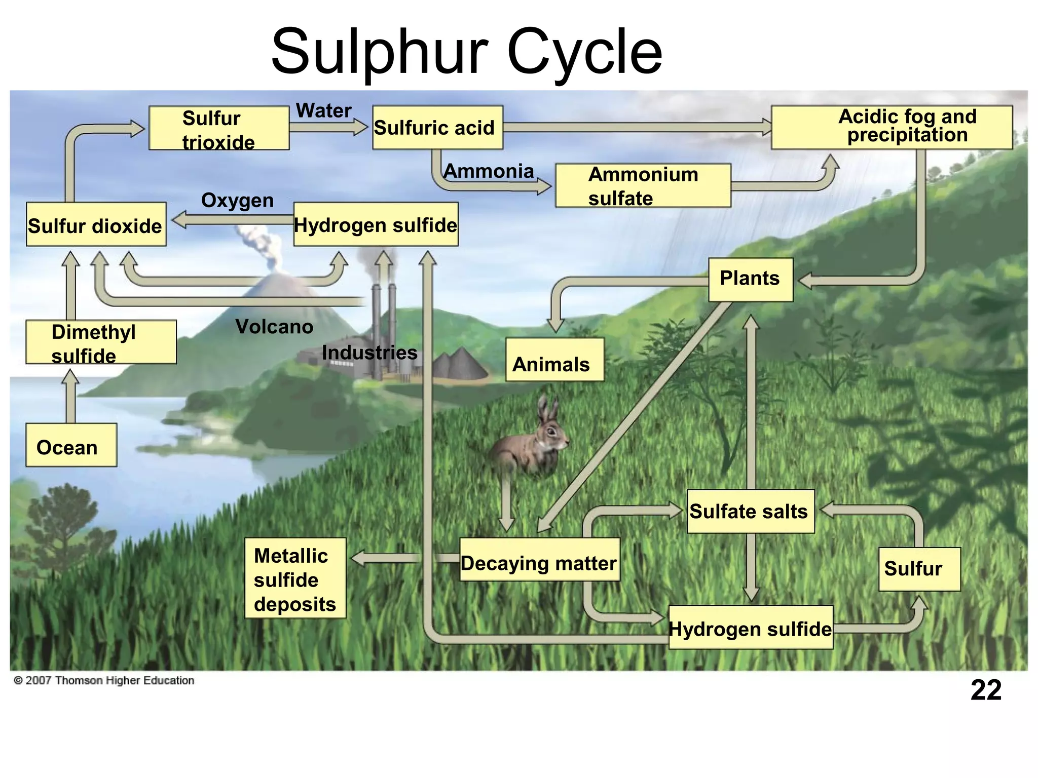 Sulphur Cycle
Hydrogen sulfide
Sulfur
Sulfate salts
Decaying matter
Animals
Plants
Ocean
Industries
Volcano
Hydrogen sulfide
Oxygen
Dimethyl
sulfide
Ammonium
sulfate
Ammonia
Acidic fog and
precipitationSulfuric acid
WaterSulfur
trioxide
Sulfur dioxide
Metallic
sulfide
deposits
22
 