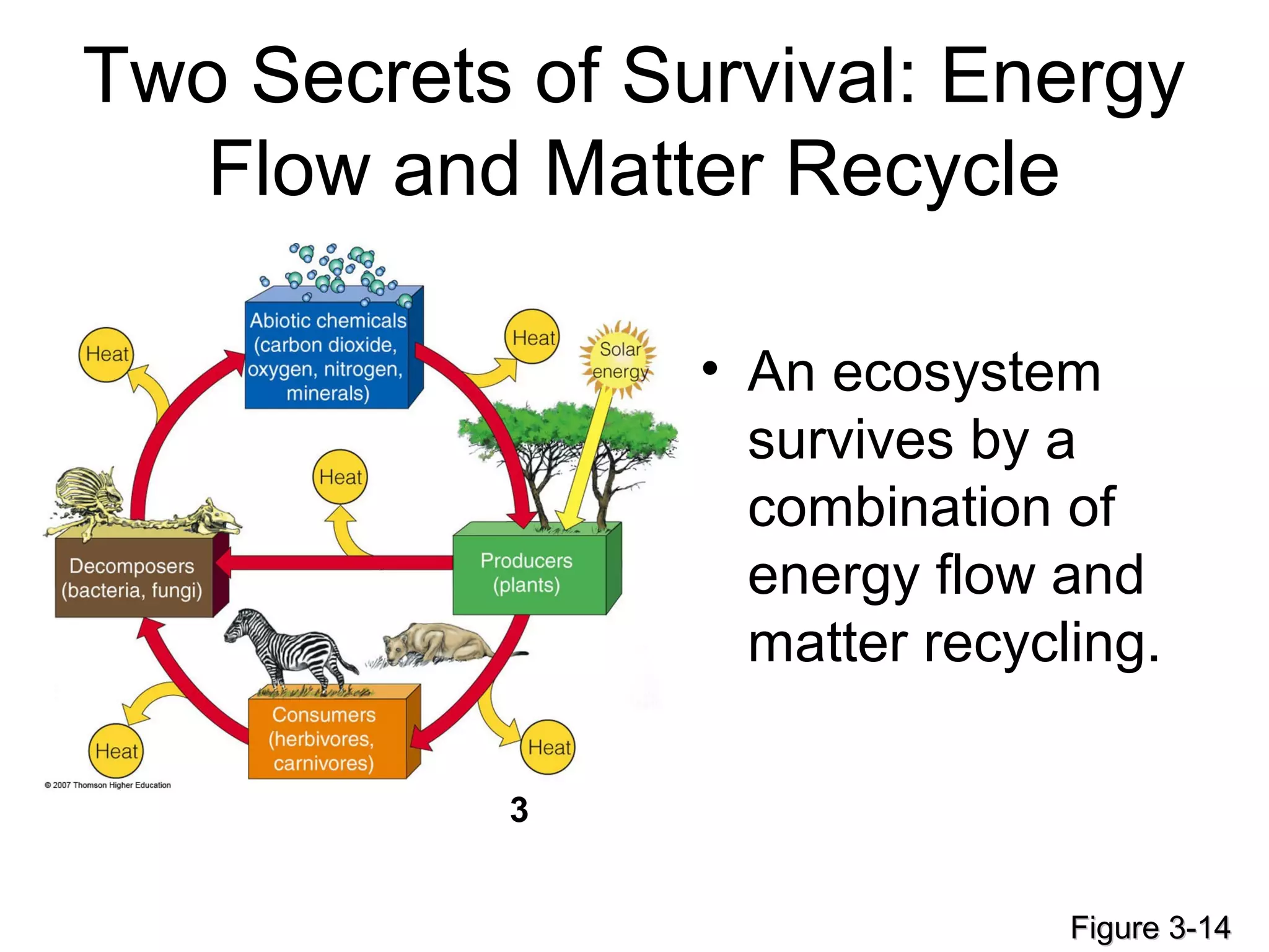Two Secrets of Survival: Energy
Flow and Matter Recycle
• An ecosystem
survives by a
combination of
energy flow and
matter recycling.
Figure 3-14Figure 3-14
3
 