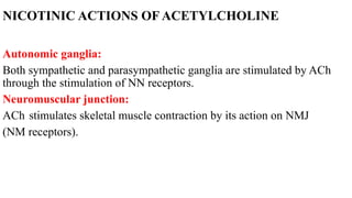 NICOTINIC ACTIONS OF ACETYLCHOLINE
Autonomic ganglia:
Both sympathetic and parasympathetic ganglia are stimulated by ACh
through the stimulation of NN receptors.
Neuromuscular junction:
ACh stimulates skeletal muscle contraction by its action on NMJ
(NM receptors).
 