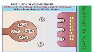 DIRECT ACTING PARASYMPATHOMIMETIC
 