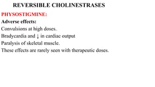 REVERSIBLE CHOLINESTRASES
PHYSOSTIGMINE:
Adverse effects:
Convulsions at high doses.
Bradycardia and ↓ in cardiac output
Paralysis of skeletal muscle.
These effects are rarely seen with therapeutic doses.
 