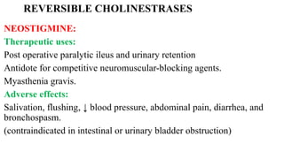 REVERSIBLE CHOLINESTRASES
NEOSTIGMINE:
Therapeutic uses:
Post operative paralytic ileus and urinary retention
Antidote for competitive neuromuscular-blocking agents.
Myasthenia gravis.
Adverse effects:
Salivation, flushing, ↓ blood pressure, abdominal pain, diarrhea, and
bronchospasm.
(contraindicated in intestinal or urinary bladder obstruction)
 