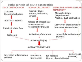 10/4/2023
Neelima
Shakya
14
 