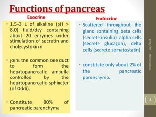 Functions of pancreas
Exocrine
• 1.5–3 L of alkaline (pH >
8.0) fluid/day containing
about 20 enzymes under
stimulation of secretin and
cholecystokinin
• joins the common bile duct
to form the
hepatopancreatic ampulla
controlled by the
hepatopancreatic sphincter
(of Oddi).
• Constitute 80% of
pancreatic parenchyma
Endocrine
• Scattered throughout the
gland containing beta cells
(secrete insulin), alpha cells
(secrete glucagon), delta
cells (secrete somatostatin)
• constitute only about 2% of
the pancreatic
parenchyma.
10/4/2023
Neelima
Shakya
4
 