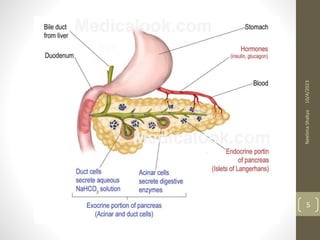 10/4/2023
Neelima
Shakya
5
 