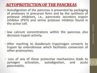 AUTOPROTECTIONOFTHE PANCREAS
• Autodigestion of the pancreas is prevented by packaging
of proteases in precursor form and by the synthesis of
protease inhibitors, i.e., pancreatic secretory trypsin
inhibitor (PSTI) and serine protease inhibitor found in
the acinar cell.
• low calcium concentrations within the pancreas also
decrease trypsin activity.
• After reaching to duodenum trypsinogen converts to
trypsin by enterokinase which facilitates conversion of
other proenzymes.
• Loss of any of these protective mechanisms leads to
zymogen activation, autodigestion, and acute
pancreatitis.
10/4/2023
Neelima
Shakya
6
 