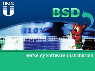 BSD Berkeley Software Distribution 