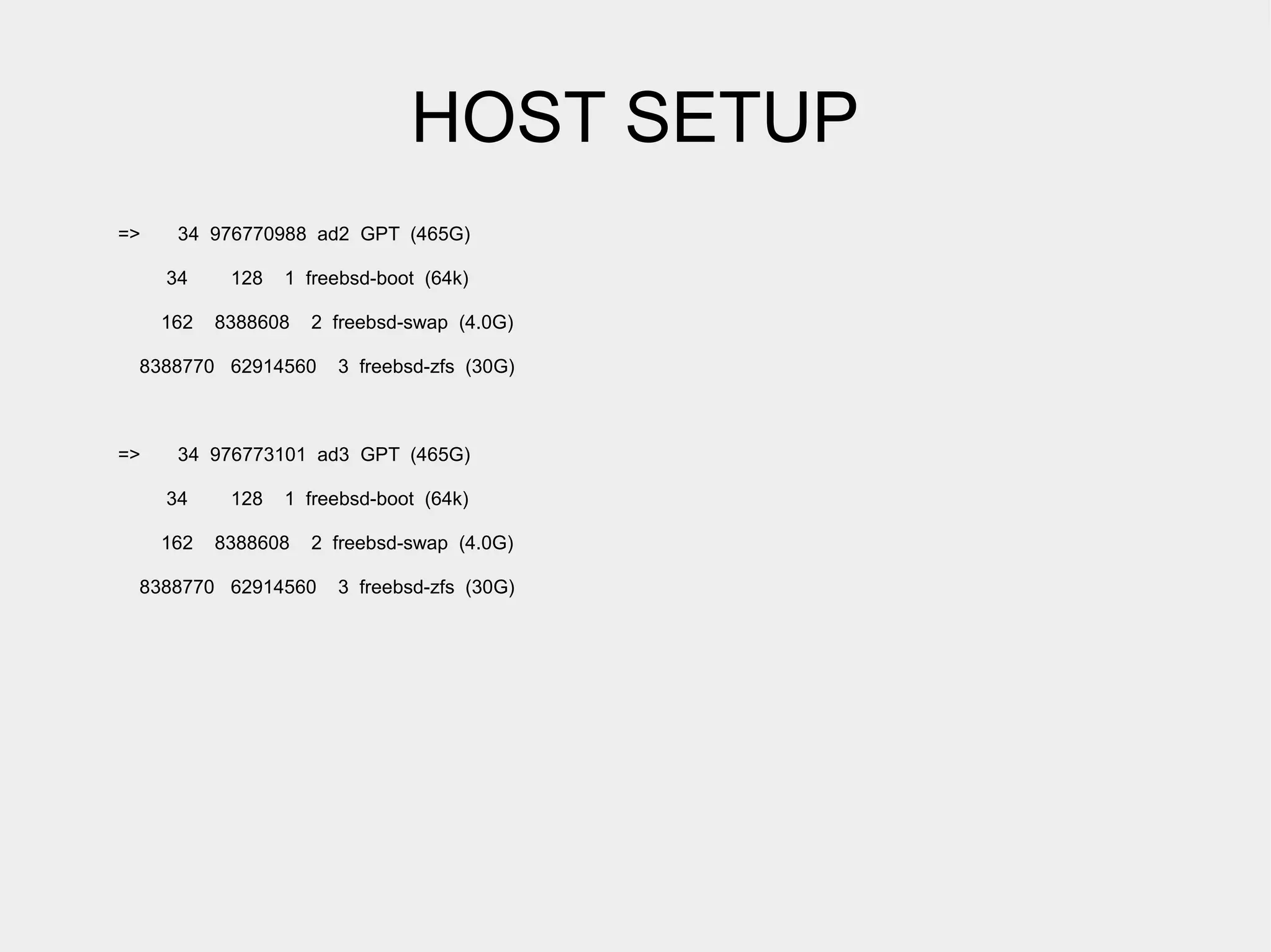 HOST SETUP
=>    34 976770988 ad2 GPT (465G)

     34     128   1 freebsd-boot (64k)

     162   8388608   2 freebsd-swap (4.0G)

 8388770 62914560      3 freebsd-zfs (30G)



=>    34 976773101 ad3 GPT (465G)

     34     128   1 freebsd-boot (64k)

     162   8388608   2 freebsd-swap (4.0G)

 8388770 62914560      3 freebsd-zfs (30G)
 
