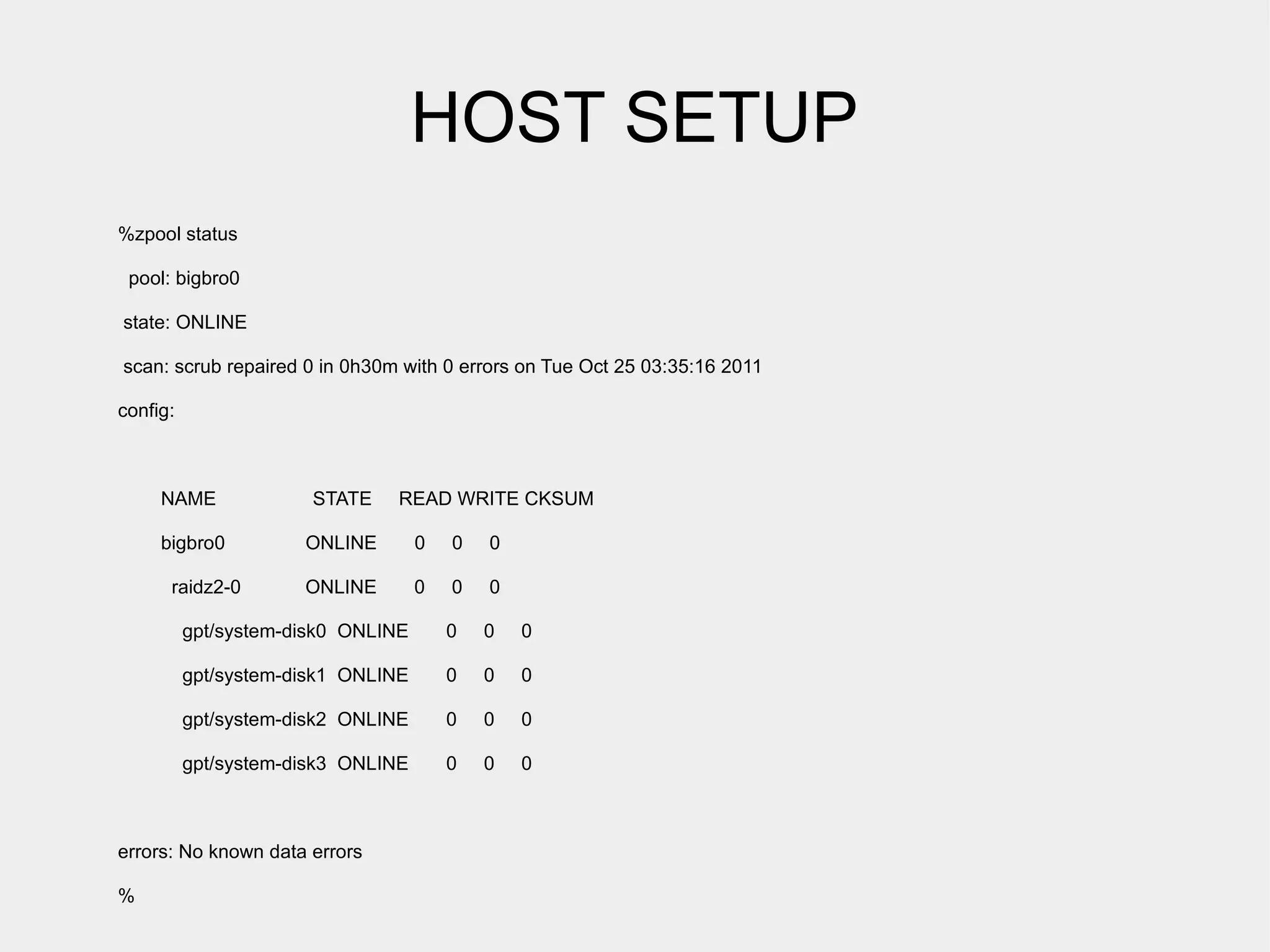 HOST SETUP
%zpool status

 pool: bigbro0

state: ONLINE

scan: scrub repaired 0 in 0h30m with 0 errors on Tue Oct 25 03:35:16 2011

config:



     NAME              STATE   READ WRITE CKSUM

     bigbro0          ONLINE        0   0   0

      raidz2-0        ONLINE        0   0   0

          gpt/system-disk0 ONLINE       0   0   0

          gpt/system-disk1 ONLINE       0   0   0

          gpt/system-disk2 ONLINE       0   0   0

          gpt/system-disk3 ONLINE       0   0   0



errors: No known data errors

%
 