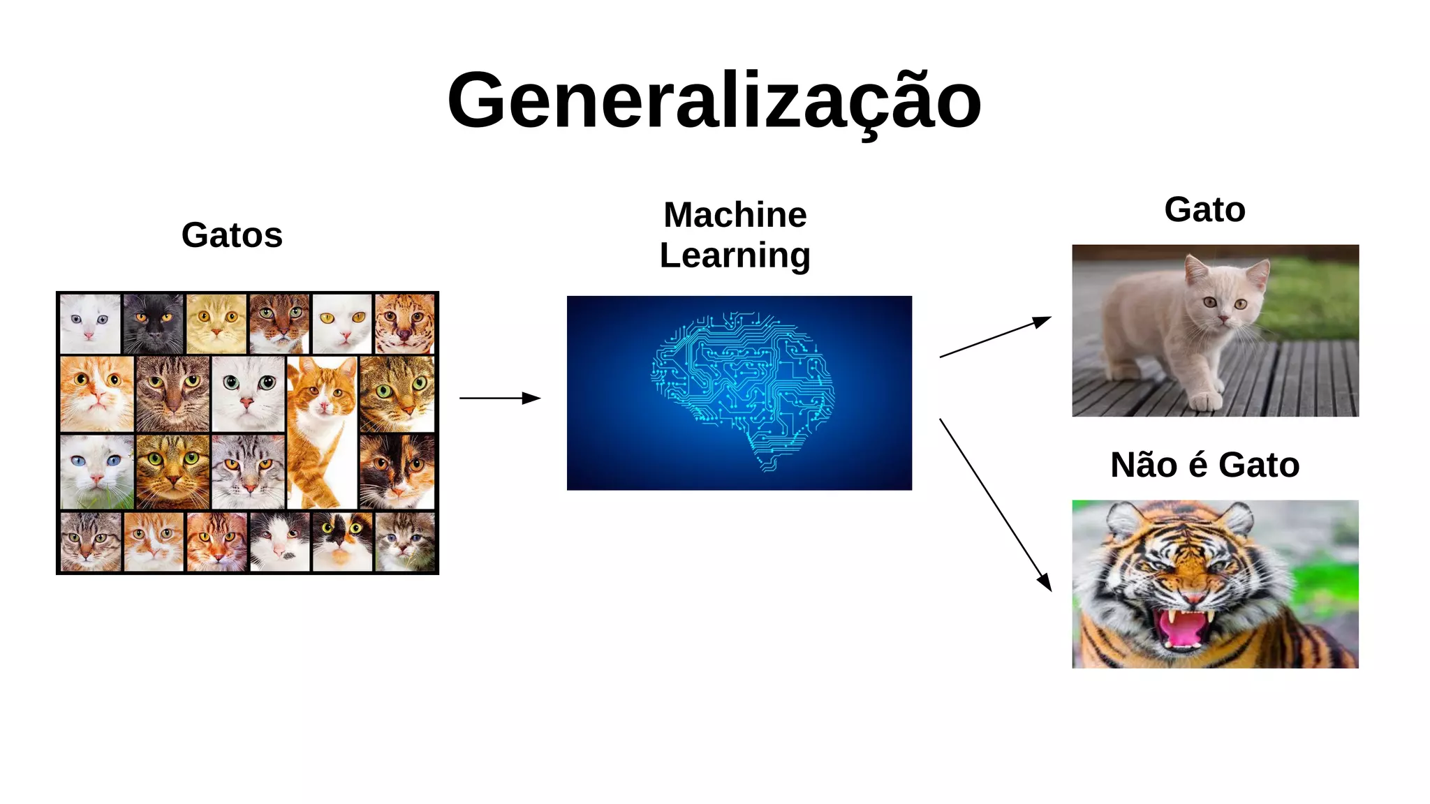 Generalização
Gatos
Machine
Learning
Gato
Não é Gato
 