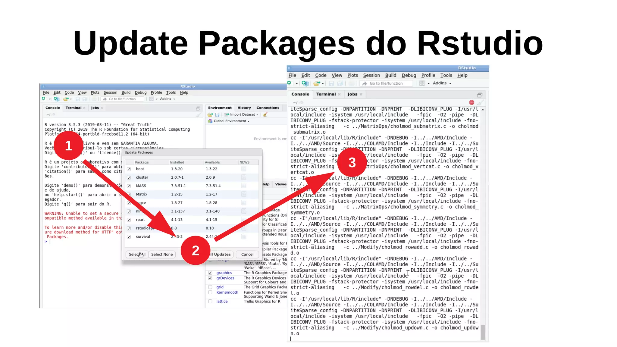 Update Packages do Rstudio
1
2
3
 