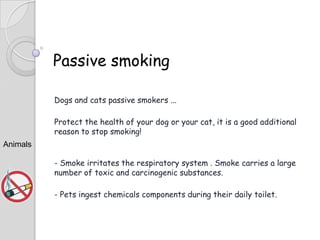 Passive smoking
Dogs and cats passive smokers ...
Protect the health of your dog or your cat, it is a good additional
reason to stop smoking!
Animals
- Smoke irritates the respiratory system . Smoke carries a large
number of toxic and carcinogenic substances.
- Pets ingest chemicals components during their daily toilet.

 