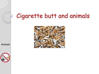 Cigarette butt and animals

Animals

 