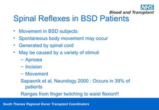 Bsd Range Brain Stem Death Testing | PPT