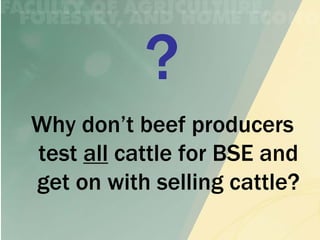 Why don’t beef producers
test all cattle for BSE and
get on with selling cattle?
 