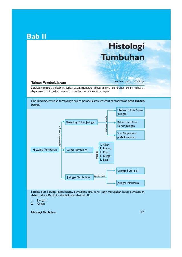 Neuron Dibedakan Menjadi Tiga Jenis Berdasarkan Fungsinya