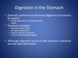 Digestion in the Stomach
• Stomach performs preliminary digestion of proteins
by pepsin
– Some digestion of carbohydrates
– Lipids
• Stomach contents
– Become more fluid
– pH approaches 2.0
– Pepsin activity increases
– Protein disassembly begins
• Although digestion occurs in the stomach, nutrients
are not absorbed there
 