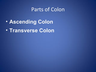 Parts of Colon
• Ascending Colon
• Transverse Colon
 