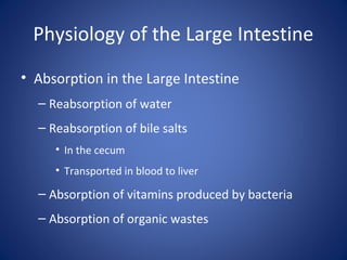 Physiology of the Large Intestine
• Absorption in the Large Intestine
– Reabsorption of water
– Reabsorption of bile salts
• In the cecum
• Transported in blood to liver
– Absorption of vitamins produced by bacteria
– Absorption of organic wastes
 