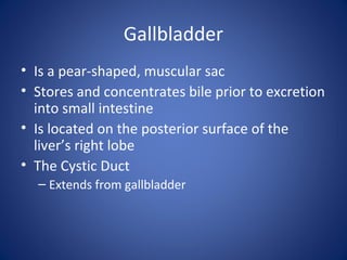 Gallbladder
• Is a pear-shaped, muscular sac
• Stores and concentrates bile prior to excretion
into small intestine
• Is located on the posterior surface of the
liver’s right lobe
• The Cystic Duct
– Extends from gallbladder
 