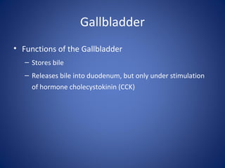 Gallbladder
• Functions of the Gallbladder
– Stores bile
– Releases bile into duodenum, but only under stimulation
of hormone cholecystokinin (CCK)
 