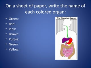 On a sheet of paper, write the name of
each colored organ:
• Green:
• Red:
• Pink:
• Brown:
• Purple:
• Green:
• Yellow:
 