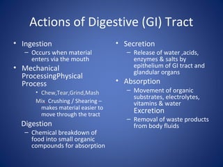 Actions of Digestive (GI) Tract
• Ingestion
– Occurs when material
enters via the mouth
• Mechanical
ProcessingPhysical
Process
• Chew,Tear,Grind,Mash
Mix, Crushing / Shearing –
makes material easier to
move through the tract
Digestion
– Chemical breakdown of
food into small organic
compounds for absorption
• Secretion
– Release of water ,acids,
enzymes & salts by
epithelium of GI tract and
glandular organs
• Absorption
– Movement of organic
substrates, electrolytes,
vitamins & water
Excretion
– Removal of waste products
from body fluids
 