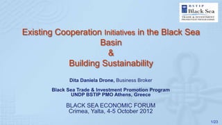 Existing Cooperation Initiatives in the Black Sea
                    Basin
                      &
            Building Sustainability




                                                    1/23
 