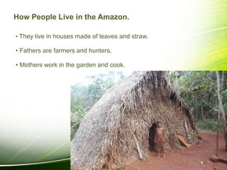 How People Live in the Amazon.
• They live in houses made of leaves and straw.
• Fathers are farmers and hunters.
• Mothers work in the garden and cook.
 