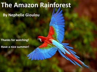 The Amazon Rainforest
By Nephelie Gioulou
Thanks for watching!
Have a nice summer!
 