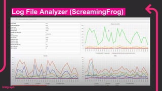 Log File Analyzer (ScreamingFrog)
 