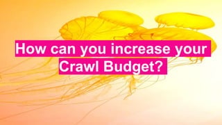 How can you increase your
Crawl Budget?
 