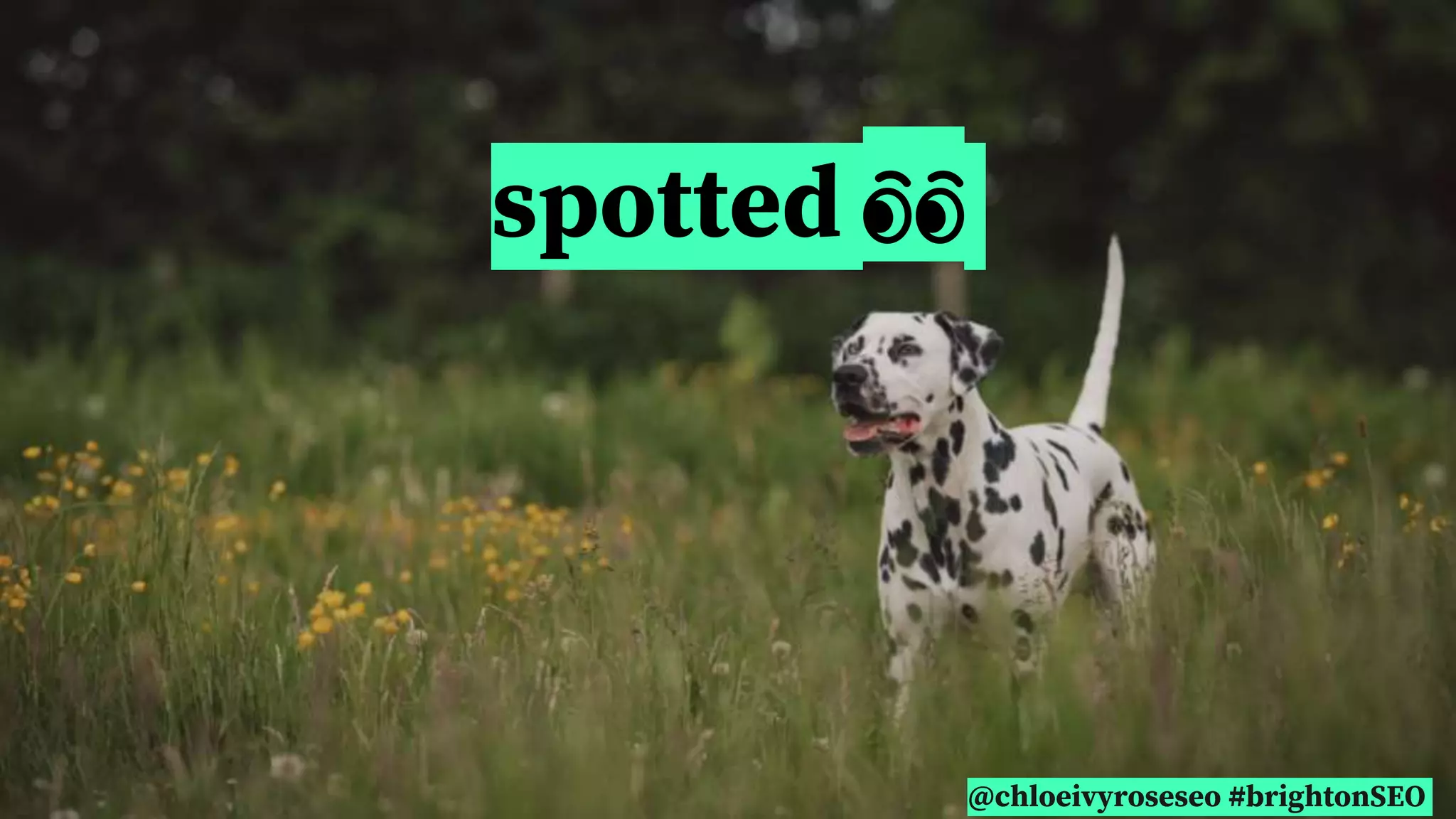 @chloeivyroseseo #brightonSEO
spotted 👀
 