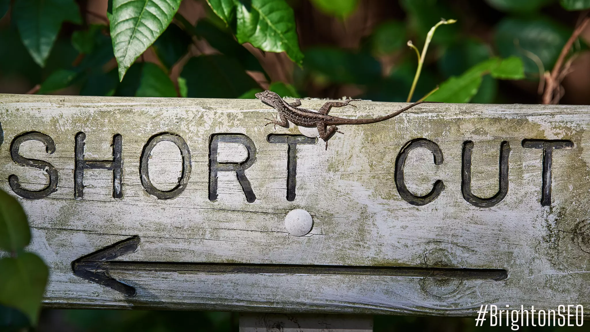 #BrightonSEO
 