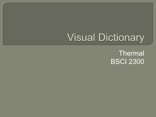 Visual Dictionary Thermal BSCI 2300 