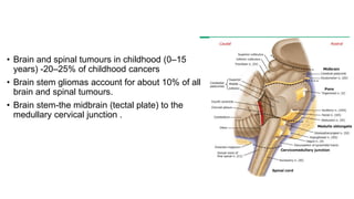 • Brain and spinal tumours in childhood (0–15
years) -20–25% of childhood cancers
• Brain stem gliomas account for about 10% of all
brain and spinal tumours.
• Brain stem-the midbrain (tectal plate) to the
medullary cervical junction .
 